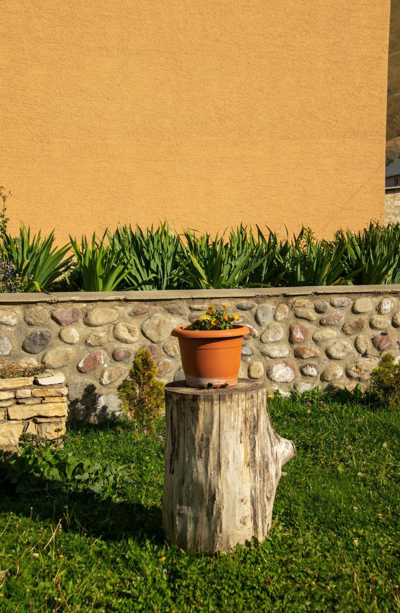 Guest House Oxygen Kazbegi Luaran gambar